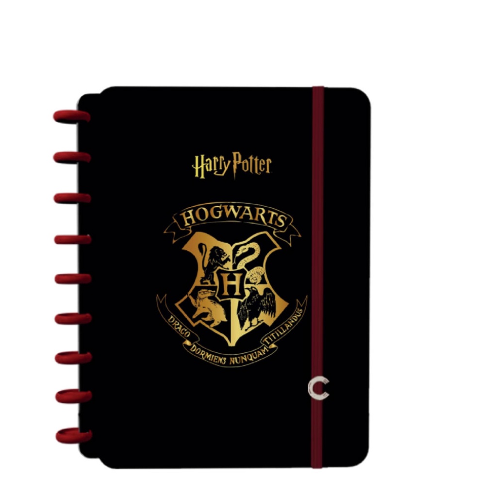CADERNO INTELIGENTE 1/4 1X1 80FLS 01/PT HARRY POTTER FSC   JANDAIA   75740 24 - Stationery
