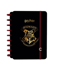 Caderno inteligente 1/4 1x1 80fls 01/pt harry potter fsc jandaia 75740-24