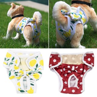 Criativo Suprimentos Para Animais De Estimação Calças Fofas De Cachorro Princesas Calcinhas Roupas De Laço Respirável Acessórios