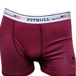 Kit Com 10 Cuecas Boxer Microfibra da Pitbull Lisa Cueca Boxer Sem Custura Cueca Boxer Premium Cueca Boxer Confortavel Cueca Boxer Fresca Cueca Boxer Tecido Leve Short Confortavel Short Salto Short Tecido Leve