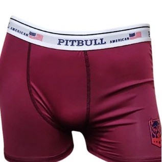 Kit Com 10 Cuecas Boxer Microfibra da Pitbull Lisa Cueca Boxer Sem Custura Cueca Boxer Premium Cueca Boxer Confortavel Cueca Boxer Fresca Cueca Boxer Tecido Leve Short Confortavel Short Salto Short Tecido Leve