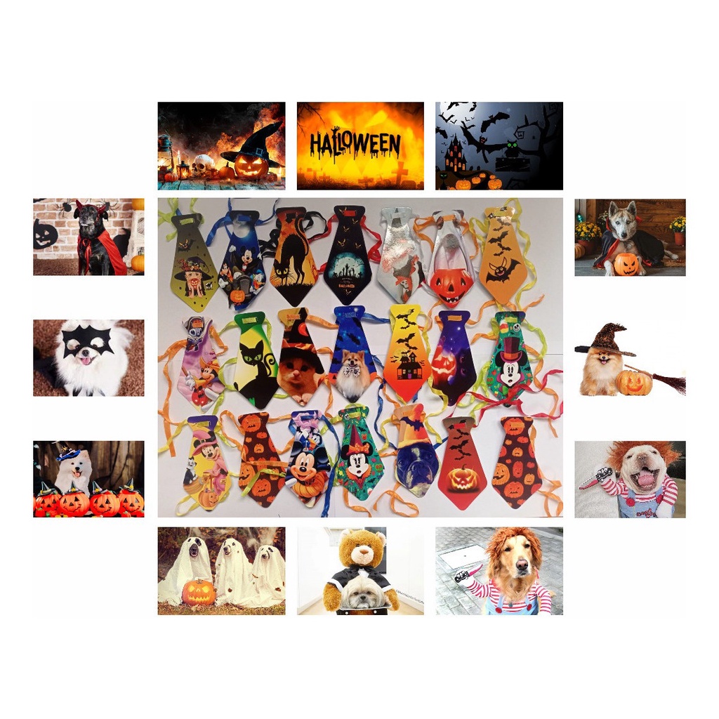 200 Gravatas Pet Shop Do Dia Das Bruxas Halloween