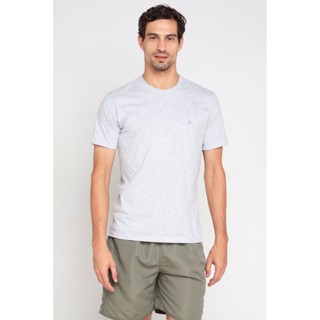 Camiseta Masculina Bordado Cinza Polo Wear Cinza Claro