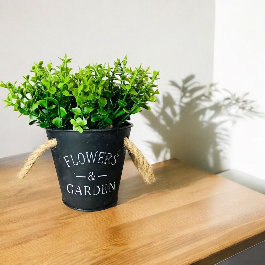 Plantinhas no Vaso: Onde Comprar | BuscaProdutos