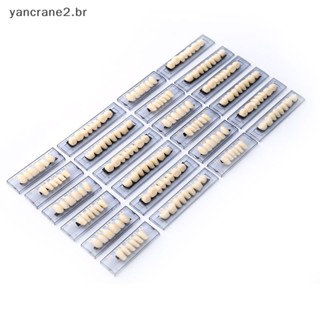 { YAN2 } 168PCS/6Sets Dentes De Resina Dentária De Polímero Sintético Dentadura yancrane2 . br