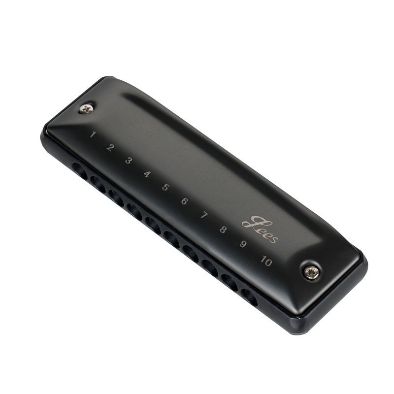 FEIFAN dez buracos PADDY afinação profissional gaita de blues 10 buracos para iniciantes exercícios recomendados W3HJ