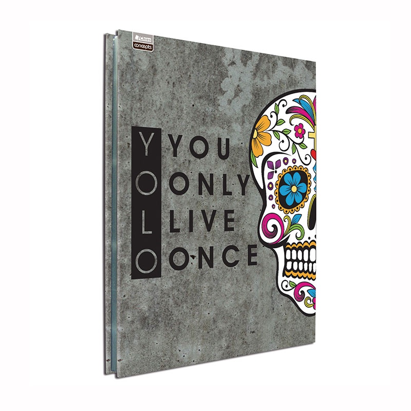 Pasta catálogo ofício 0184-7 caveira mexicana com 25 plásticos Hemon