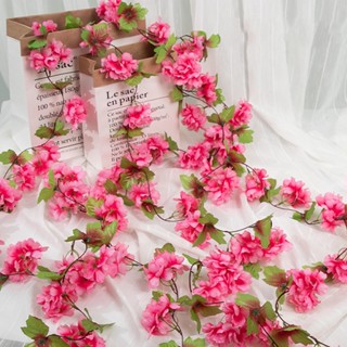 230cm Artificial Sakura Vine Rose Cherry Ivy Rattan Para Jardim Doméstico Decoração Do Muro De Casamento Pendurado