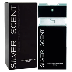 Silver Scent Masculino Eau de Toilette