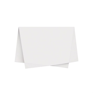 Papel de Seda - 50x70cm - Branco - 10 unidades - Rizzo em Oferta na Shopee