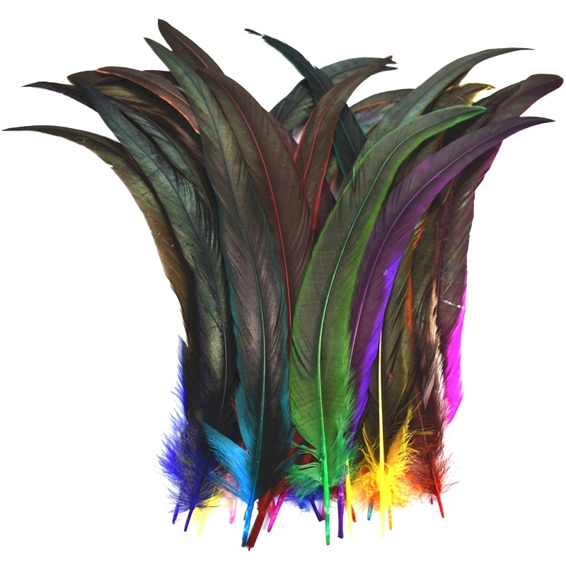 50 Pçs/Lote Penas De Galo Coloridas Para Artesanato Pena De Faisão Preto Frango Acessórios De Carnaval Decoração Roupas