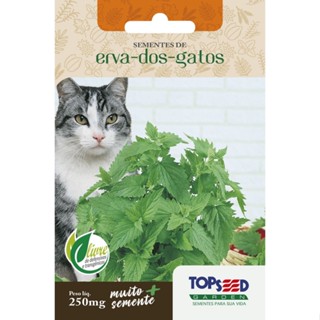 Env. Erva Dos Gatos 250 mg - Topseed