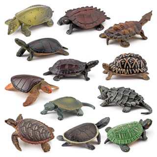 Mini Simulação Modelo Anfíbio de Réptil / Tartaruga