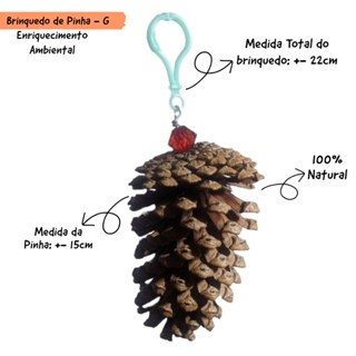 Brinquedo de Pinha 100% Natural para Passaros em Geral e Roedores - Calopsitas Coelhos