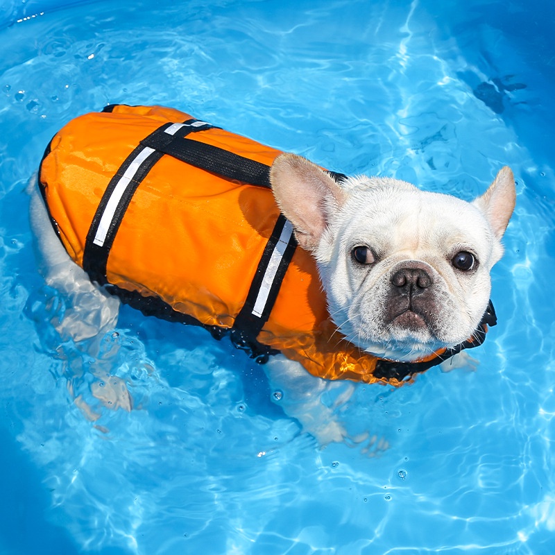 Colete Salva-Vidas Fashion Puppy Big Dog Life Jacket Summer Pet Vestuário Para Cães Médios E Grandes De Natação Roupas em Oferta na Shopee