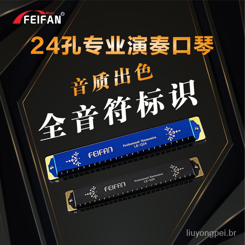 FEIFAN24 Kong c-tom gaita polifônica alunos Crianças Iniciantes Adultos Harmônica HAQG