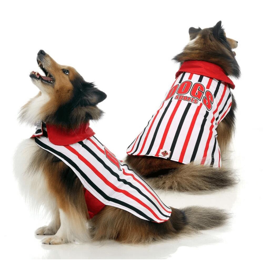 Fantasia Tricollor P/ Cachorro em Oferta na Shopee