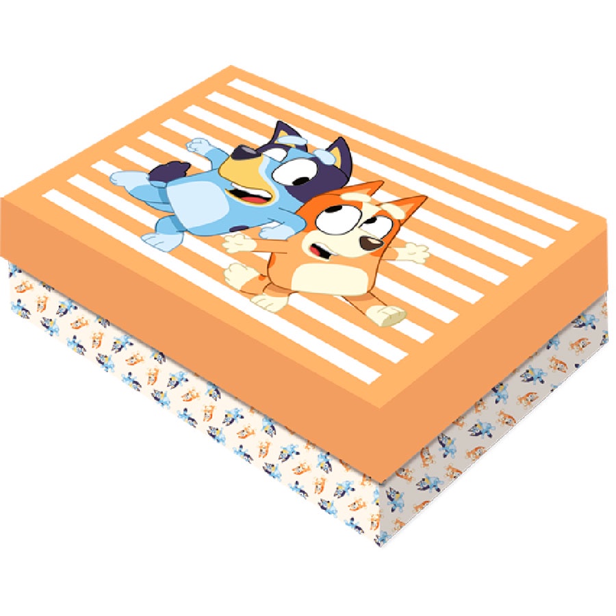 Caixa para Presente Retangular M - Bluey - 1 unidade - Festcolor - Rizzo