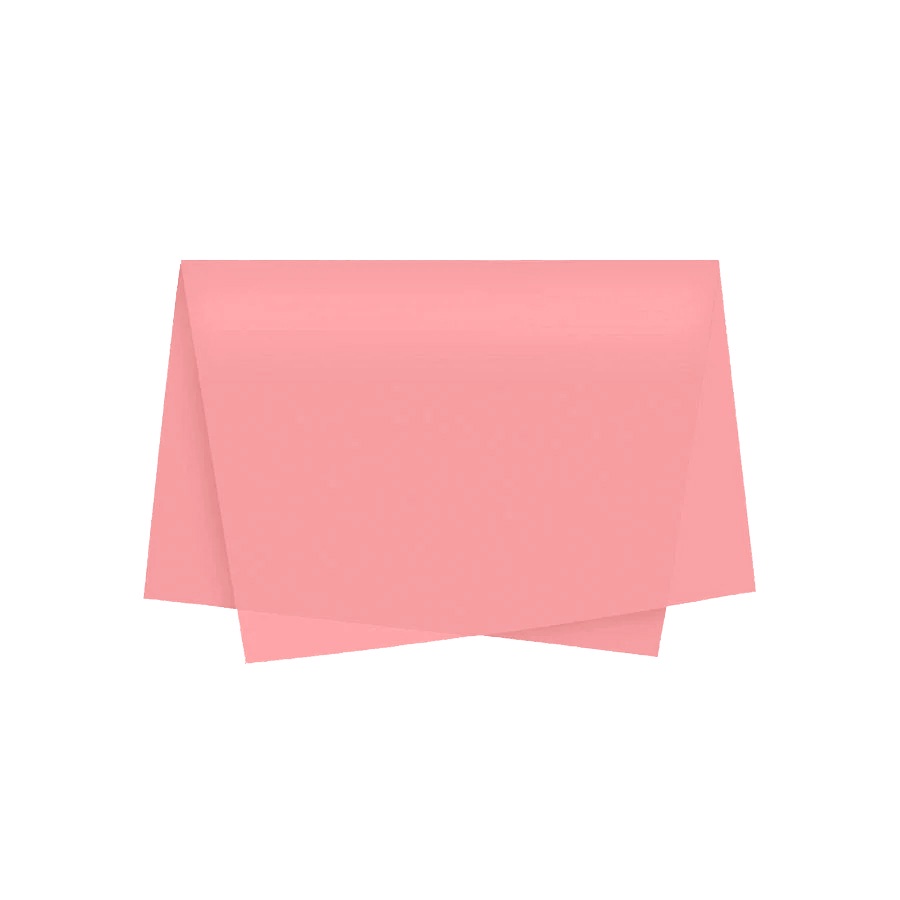 Papel de Seda - 50x70 - Palha - 10 unidades - Rizzo em Oferta na Shopee