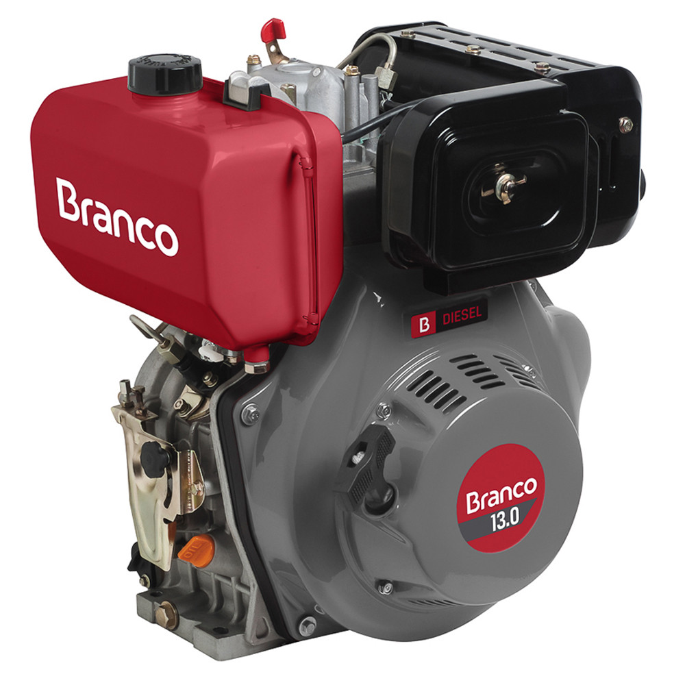 MOTOR DIESEL BD13.0 13CV COM PARTIDA ELETRICA BRANCO MOTORES - Home & Living