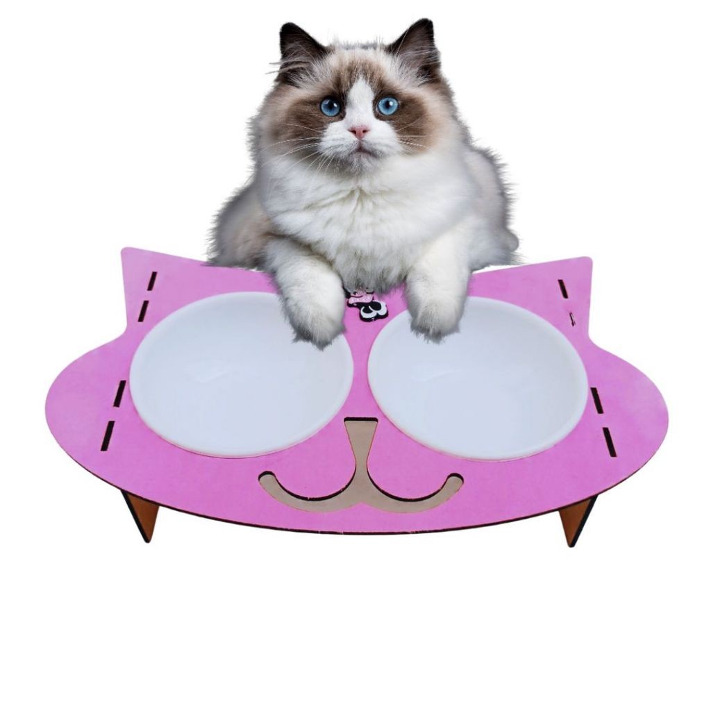 pet gato comedouro bebedouro colorido gato alto duplo com 2 pote de plastico ração para gatos 400ml
