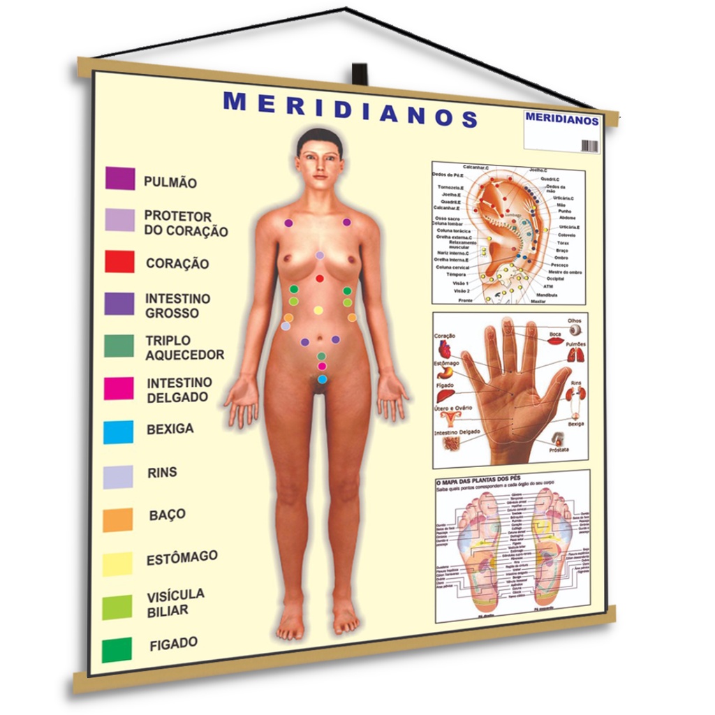 Banner Rotas De Energia Pontos Meridianos Acupuntura Corpo Humano Poster Grande Medicina em Oferta na Shopee