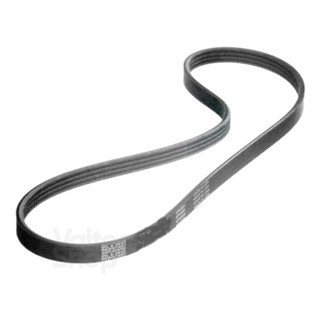 Correia lavadora tanquinho mueller pop tank | modelo antigo