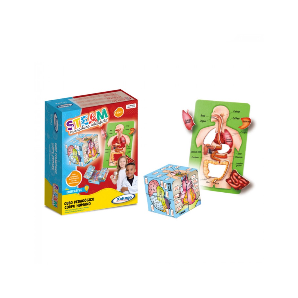 Jogo Educativo Cubo Magico Corpo Humano 3 em 1 Xalingo - 2409.8 - Hobbies & Collections