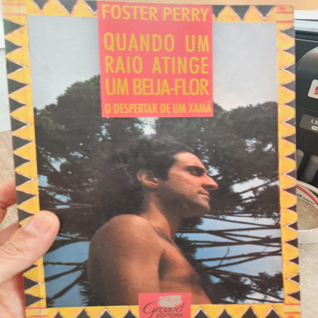 Quando um raio atinge um bbeija-flor o despertar de um xamã autor Foster Perry
