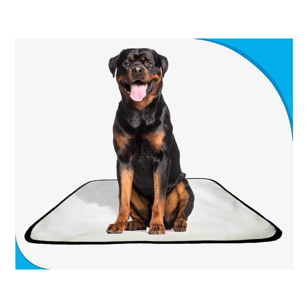 Tapete para cães Higiênico em oferta 4 un G 90x100cm em Oferta na Shopee