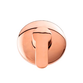 Misturador Monocomando para Chuveiro Guaporé Pingoo - Dourado rose em Oferta na Shopee