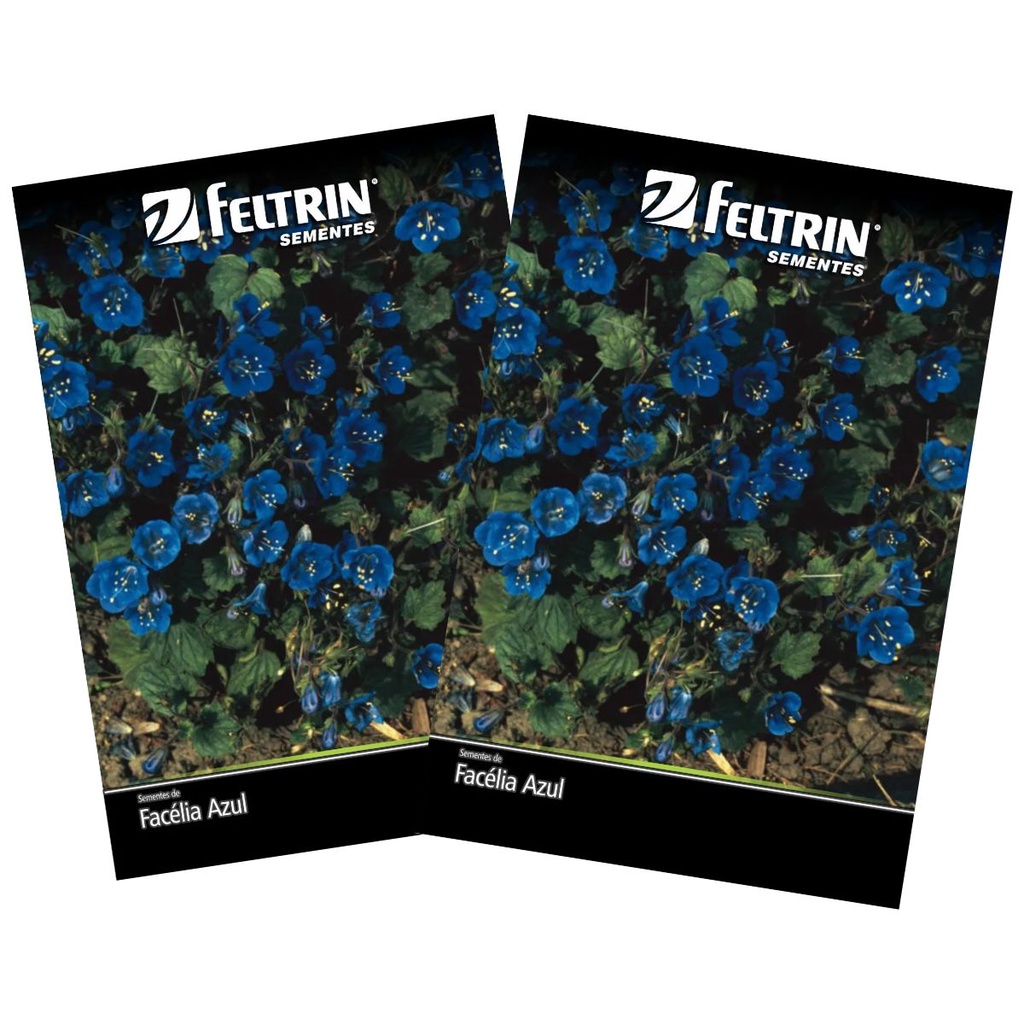 2X Sementes de Facélia Azul FELTRIN em Oferta na Shopee