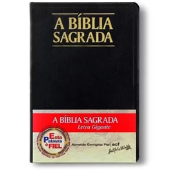 Bíblia Sagrada ACF | Letra Gigante | Luxo | Preta