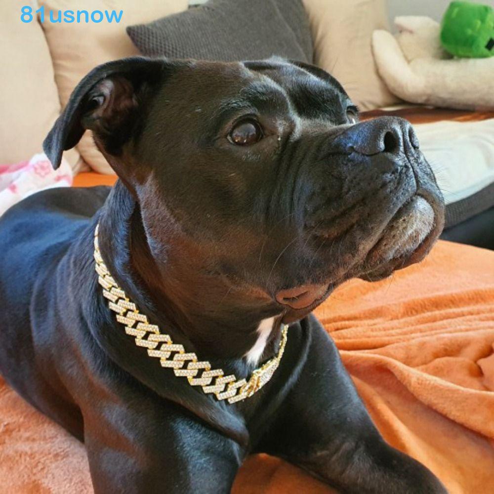USNOW1 Correntes Para Cães Largura Criativa Com Colar De Liga De Diamante Sem Ferrugem