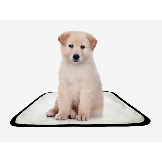 Tapete pet lavável adestramento higiênico 1 un PP 40x50cm