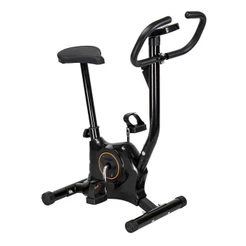 Bicicleta Ergométrica Vertical Gallant Trainer (GBE1HBTA-PT)
