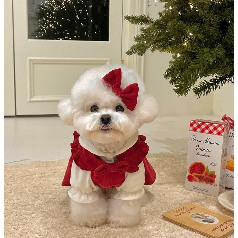 Vestido De Cachorro Para Ruffles Fofo De Gato Com Roupas Teddy Summer Thin Pet Outfit Roupa Fina De Aniversário