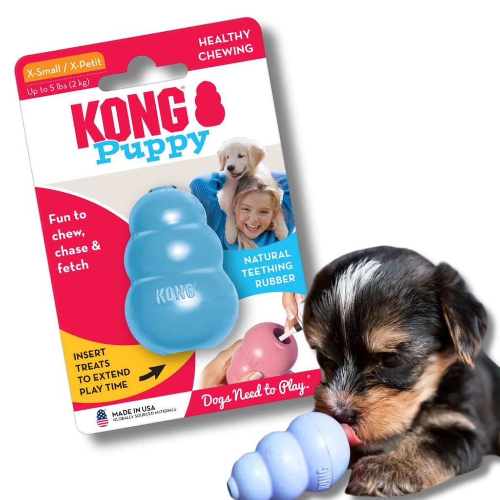 Kong Puppy Brinquedo Resistente Recheável Para Cães e Gatos Filhotes Tamanho PP Azul