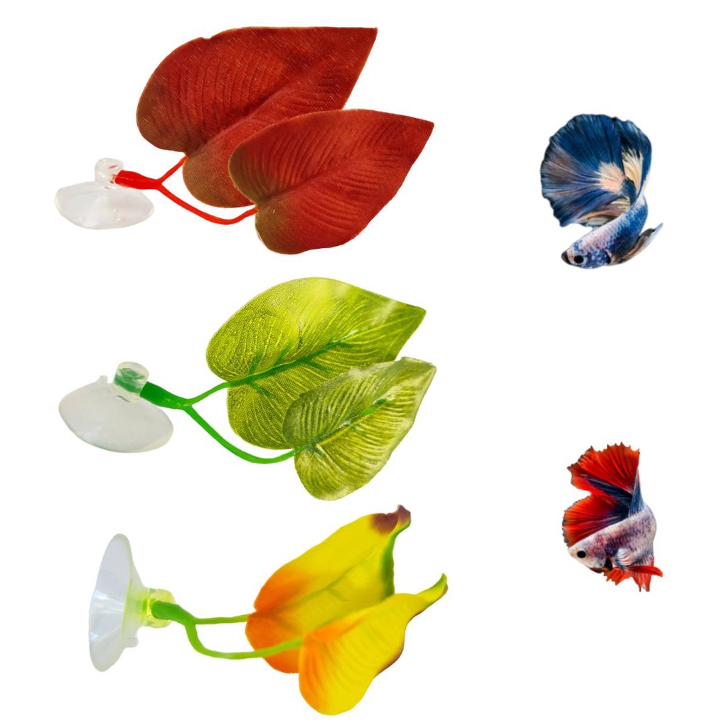 Cama de Betta folha de descanso Dupla planta besteira beta enfeite aquário planta artificial em Oferta na Shopee