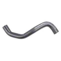 Mangueira Radiador Renault Clio 2000 a 2013 - 186381 - 117458