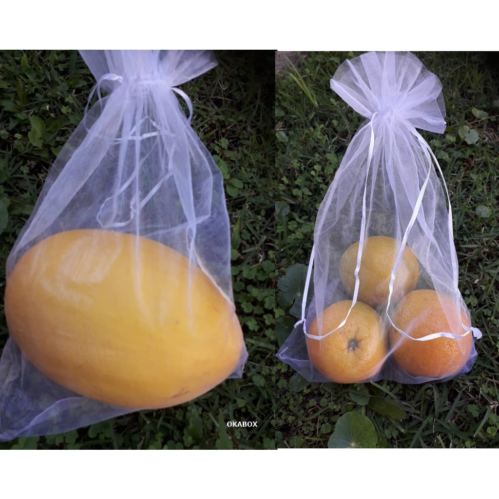 30 PÇS Sacos Para Proteção Frutas No Pe Lavável  20x30 cm em Oferta na Shopee