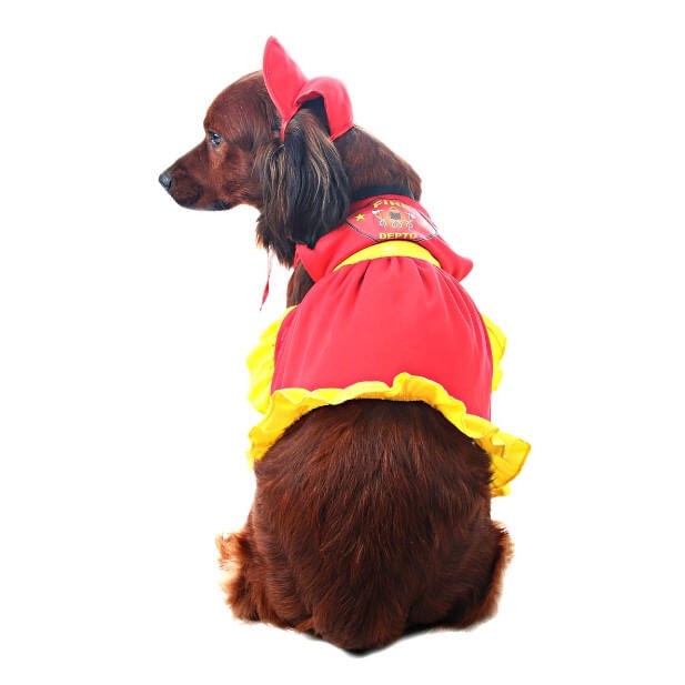 Fantasia Pet Bombeira Vestido Poliester Original Abrakadabra
 em Oferta na Shopee