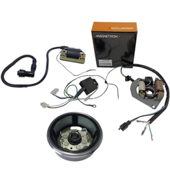 Kit Conversor Cdi Bobina Ignição + Volante Cg 125 Cargo 1988 A 1991 Cg 125 Today 1989 A 1991