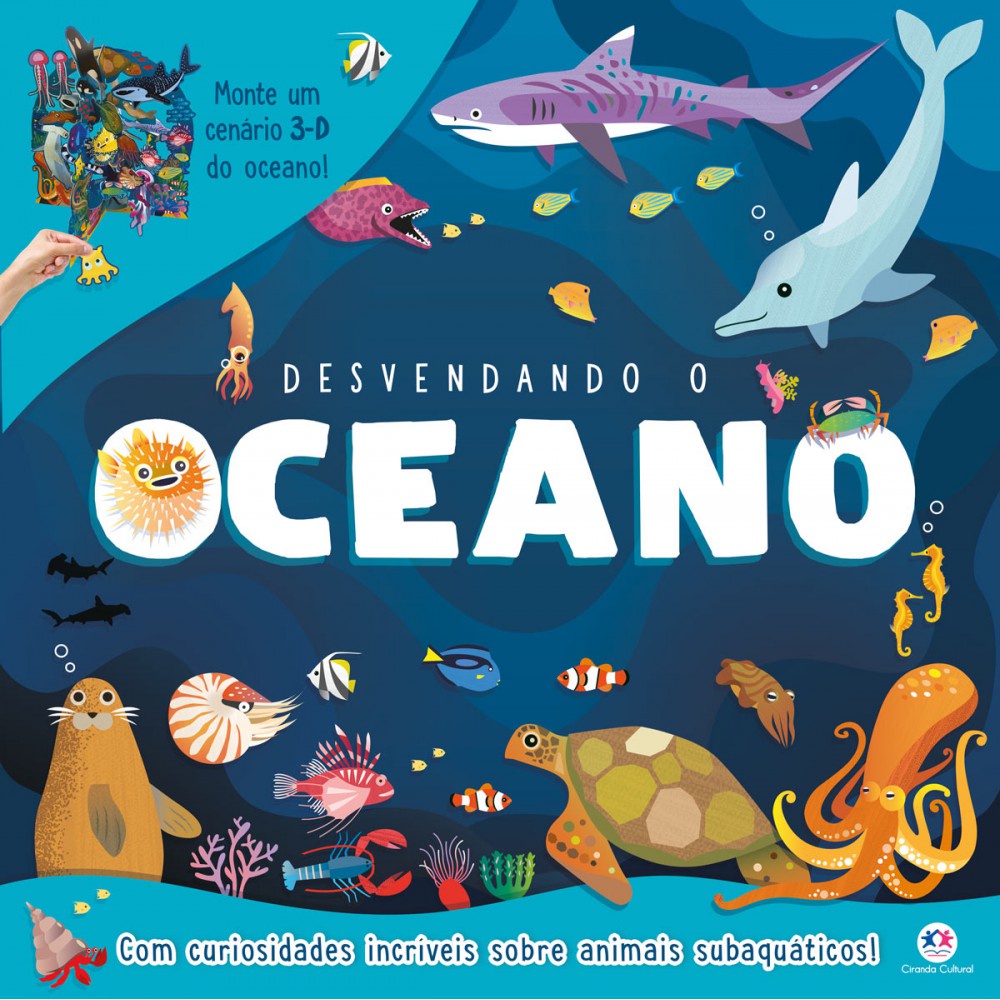 Livro Cartonado Desvendando o oceano - Books & Magazines