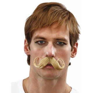 Bigode Loiro Adulto Grande Masculino Abrakadabra Fantasias 
 em Oferta na Shopee