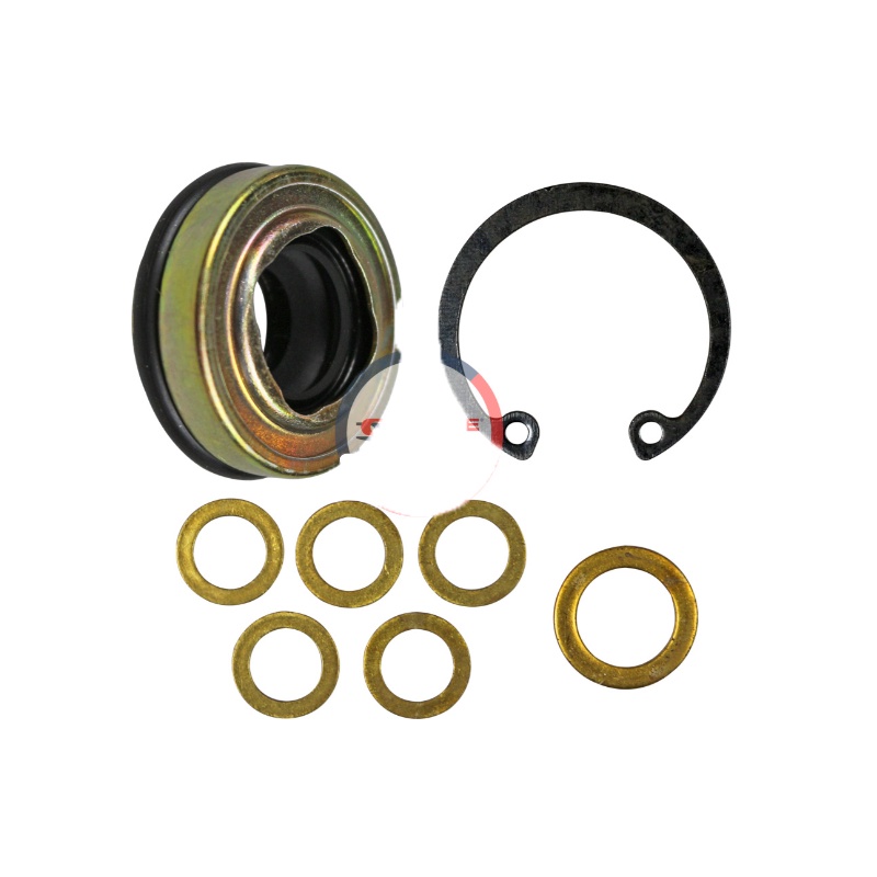 Selo Do Compressor Denso 10p08e  Chrysler 6C17 Lip Seal