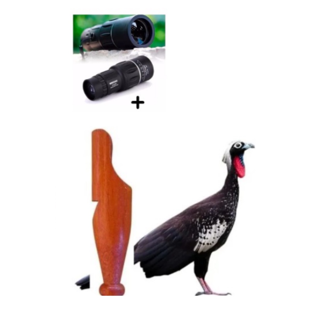Apito Madeira Pio Jacutinga 24 + Luneta Observação De Aves