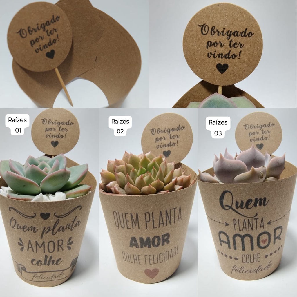 80 rótulos e 80 tags para lembrancinha de suculenta, casamento batizado aniversário chá de bebê chá bar  revelação