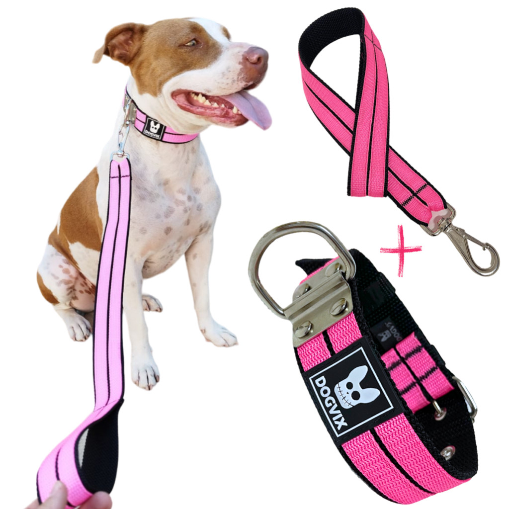 A Melhor Coleira e Guia Para Cachorro Forte Pet Grande Porte Pitbull Golden