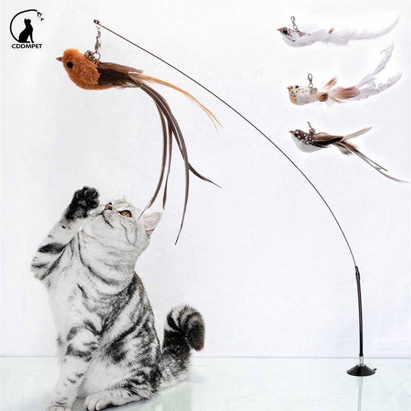 Simulação Pássaro Brinquedo Gato Interativos Engraçado Pena Com Sino Vara Para Cães Gatinho Que Joga